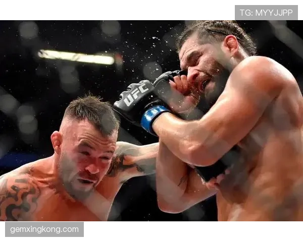 场内场外犯规判罚有何不同？裁判视角全解析