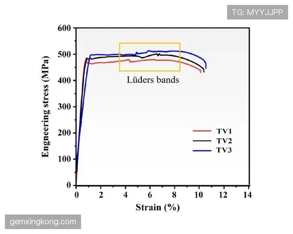 居莱尔高开低走隐忧：新星成长曲线与持续性瓶颈解析