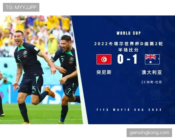 突尼斯中场配置全面解析